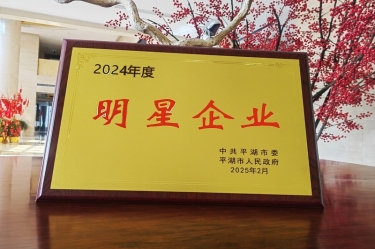 新春新景新气象 | 拉霸LaBa360纸业在平湖三干大会上喜摘荣誉！